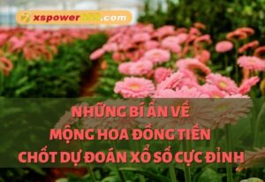 Những bí ẩn về mộng hoa đồng tiền chốt dự đoán xổ số cực đỉnh