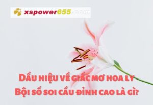 Dấu hiệu về giấc mơ hoa ly - Bội số soi cầu đỉnh cao là gì?