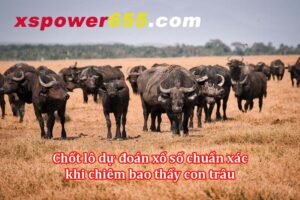 Chốt lô dự đoán xổ số chuẩn xác khi chiêm bao thấy con trâu