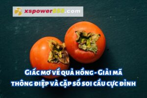 Giấc mơ về quả hồng: Giải mã thông điệp và cặp số soi cầu cực đỉnh