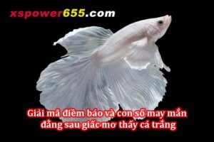 Giải mã điềm báo và con số may mắn đằng sau giấc mơ thấy cá trắng