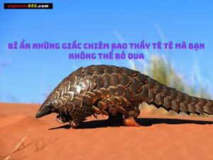 Bí ẩn những giấc chiêm bao thấy tê tê mà bạn không thể bỏ qua