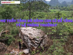 Mơ thấy tảng đá đánh con gì để tăng tỷ lệ trúng thưởng?