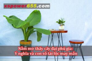 Nằm mơ thấy cây đại phú gia: Ý nghĩa và con số tài lộc may mắn