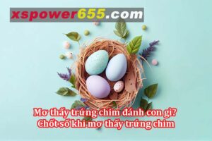 Mơ thấy trứng chim đánh con gì? Chốt số khi mơ thấy trứng chim