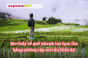 Mơ thấy về quê nhanh tay lụm lúa bằng những cặp soi cầu thần kỳ